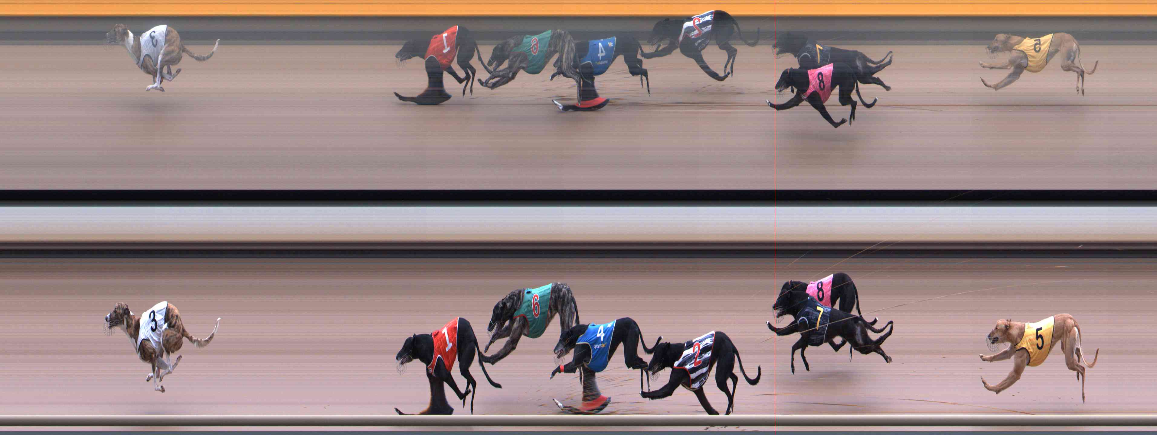 Race result finish photo